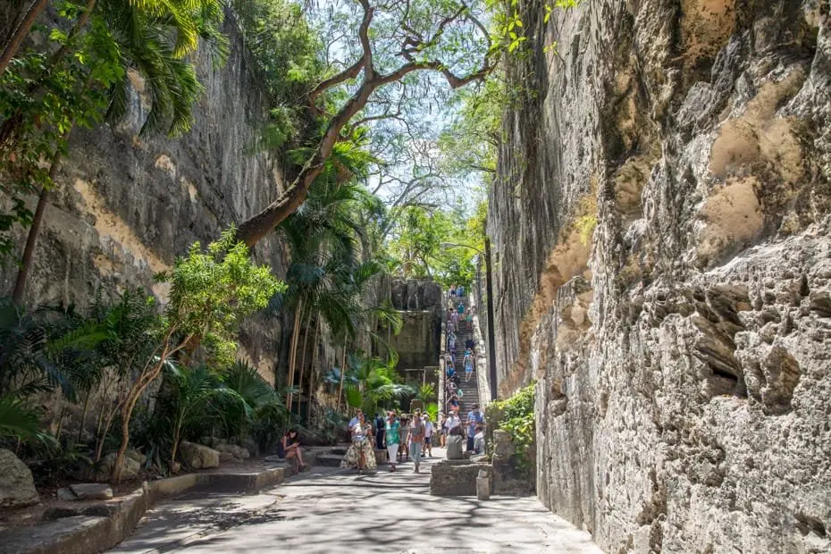 The Caves of Nassau